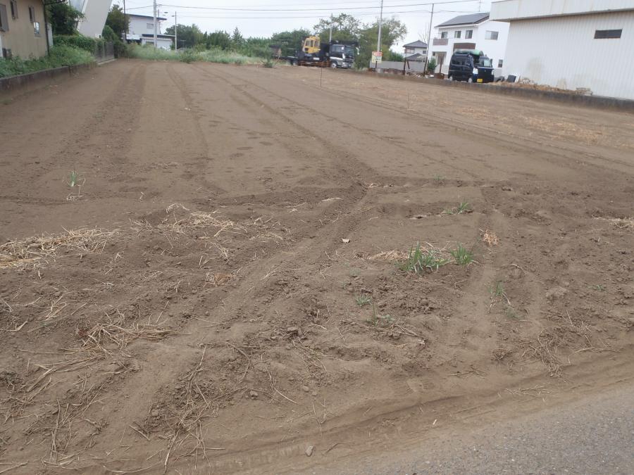 クリックにて拡大